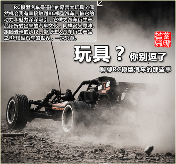 RC Vehicle Control System